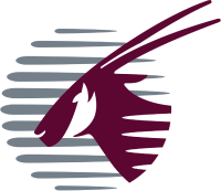 Airline Logo 35